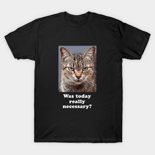 Funny Sarcastic Grumpy Kitty Cat for Men and Women T-Shirt by Pine Hill Goods